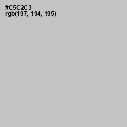 #C5C2C3 - Silver Color Image