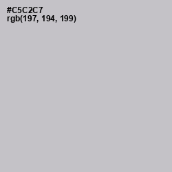 #C5C2C7 - Silver Color Image