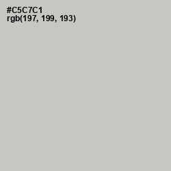 #C5C7C1 - Silver Color Image