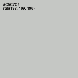 #C5C7C4 - Silver Color Image