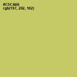 #C5CA66 - Tacha Color Image