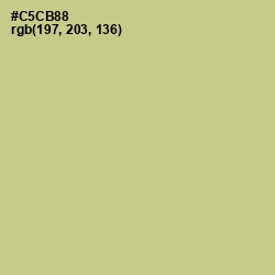 #C5CB88 - Pine Glade Color Image