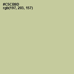 #C5CB9D - Pine Glade Color Image