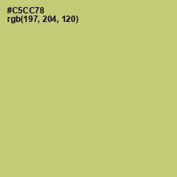 #C5CC78 - Chenin Color Image
