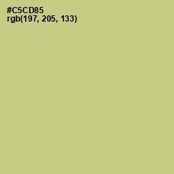 #C5CD85 - Pine Glade Color Image