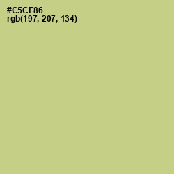 #C5CF86 - Pine Glade Color Image