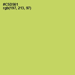 #C5D561 - Tacha Color Image