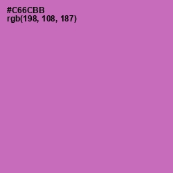 #C66CBB - Hopbush Color Image