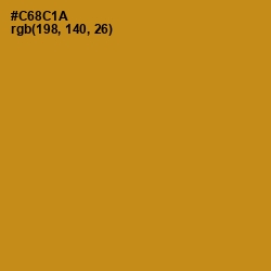 #C68C1A - Pizza Color Image