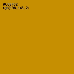 #C68F02 - Pizza Color Image