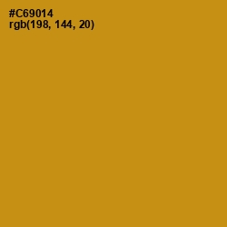 #C69014 - Pizza Color Image