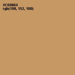 #C69864 - Antique Brass Color Image