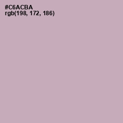 #C6ACBA - Lily Color Image