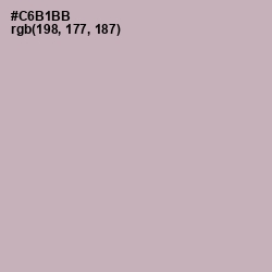 #C6B1BB - Cold Turkey Color Image