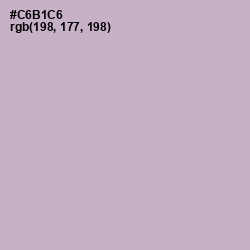 #C6B1C6 - Pale Slate Color Image