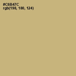 #C6B47C - Laser Color Image