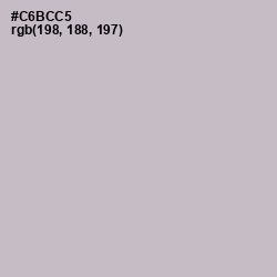 #C6BCC5 - Pale Slate Color Image