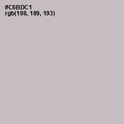 #C6BDC1 - Pale Slate Color Image