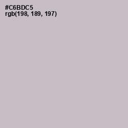 #C6BDC5 - Pale Slate Color Image