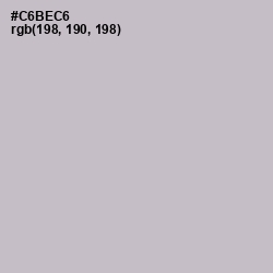 #C6BEC6 - Pale Slate Color Image