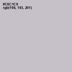 #C6C1C9 - Silver Color Image