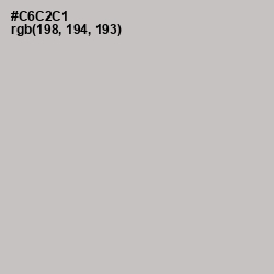 #C6C2C1 - Silver Color Image