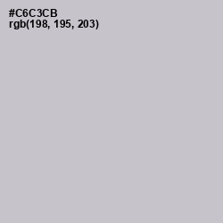 #C6C3CB - Pumice Color Image