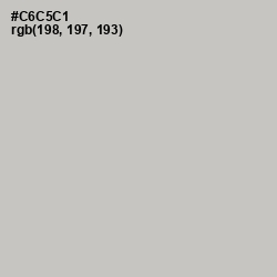 #C6C5C1 - Silver Color Image