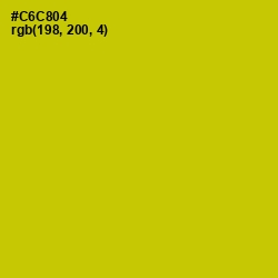 #C6C804 - Bird Flower Color Image