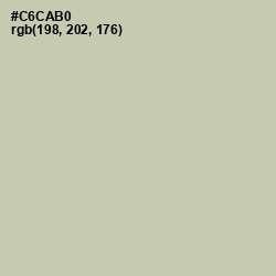 #C6CAB0 - Foggy Gray Color Image