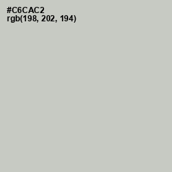 #C6CAC2 - Pumice Color Image