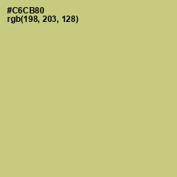 #C6CB80 - Pine Glade Color Image