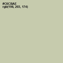 #C6CBAE - Thistle Green Color Image
