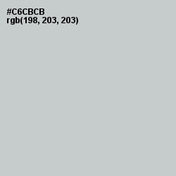 #C6CBCB - Pumice Color Image