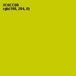 #C6CC00 - Bird Flower Color Image