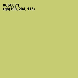 #C6CC71 - Tacha Color Image
