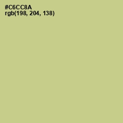 #C6CC8A - Pine Glade Color Image