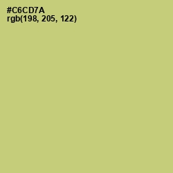 #C6CD7A - Chenin Color Image