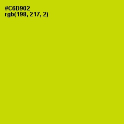#C6D902 - Bird Flower Color Image
