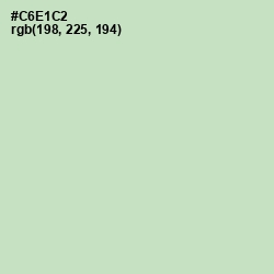 #C6E1C2 - Tea Green Color Image