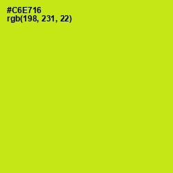 #C6E716 - Las Palmas Color Image