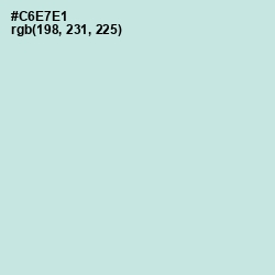 #C6E7E1 - Jagged Ice Color Image