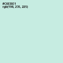 #C6EBE1 - Jagged Ice Color Image