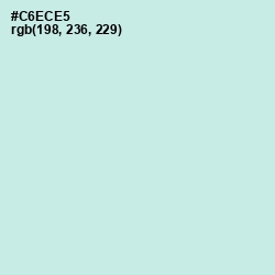 #C6ECE5 - Jagged Ice Color Image