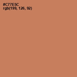 #C77E5C - Raw Sienna Color Image