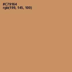 #C79164 - Antique Brass Color Image