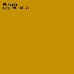 #C79202 - Pizza Color Image