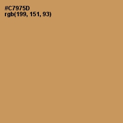 #C7975D - Twine Color Image