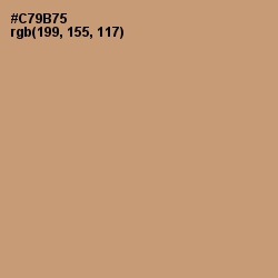 #C79B75 - Whiskey Color Image