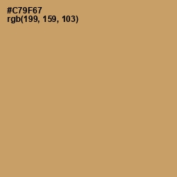 #C79F67 - Whiskey Color Image